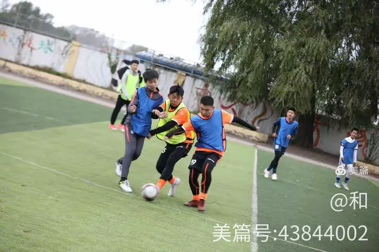 澳洲足球锦标赛战况紧张，球员备战
