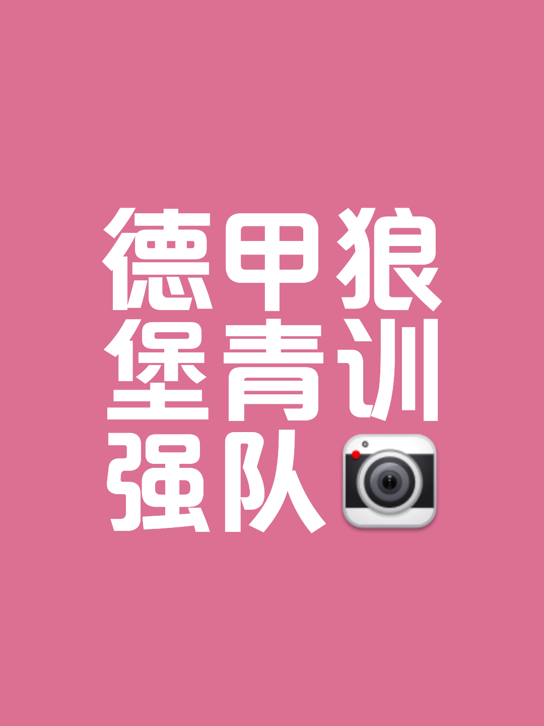 沃尔夫斯堡中场策应紧密，主场领军争胜