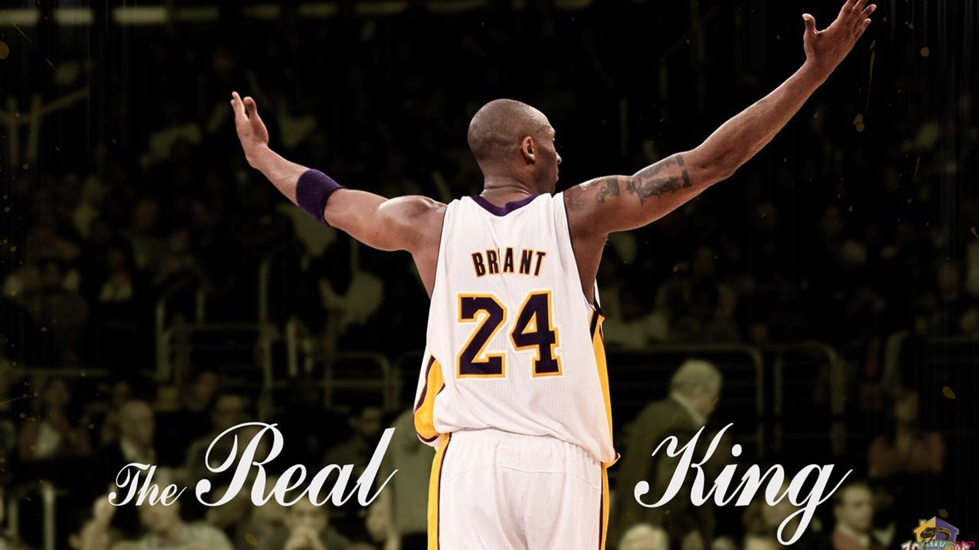 开云体育app-双城记，广厦铁血碾压浙江，遥望米切尔东决封神之战